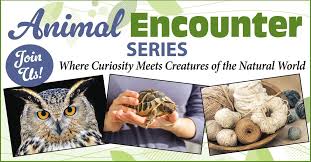 Animal Encounter Series: Quiver Farm Projects