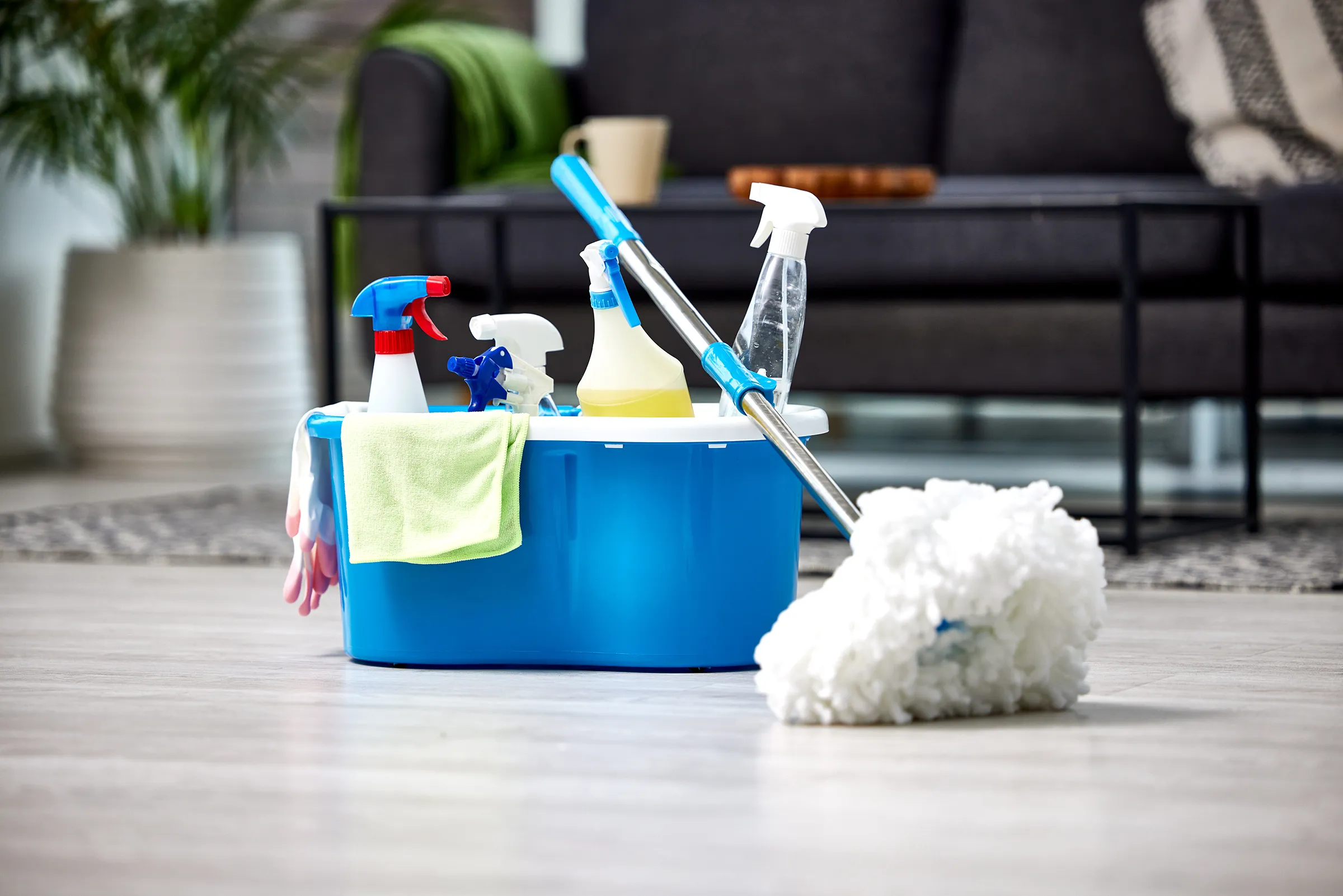 Blue cleaning bucket with supplies and mop in living room